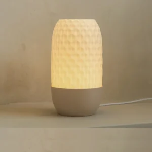 Ana Sayfa 3d baskı lamba 3d baskı fiyat avantajları